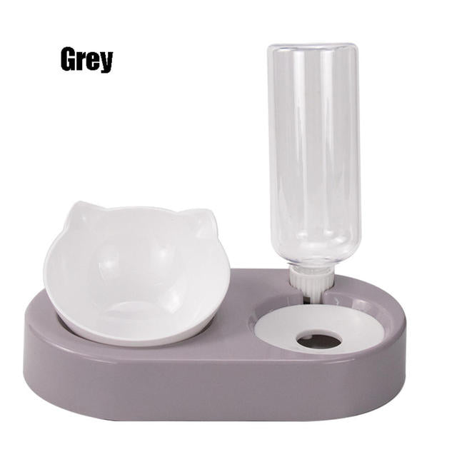 Pet Bowl with Auto Water Dispenser